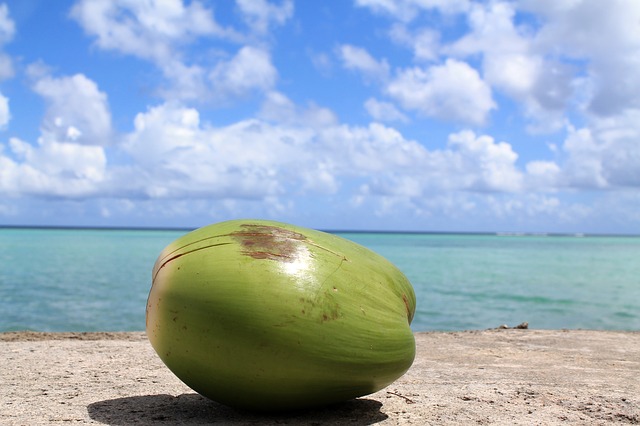 Kokos na pláži